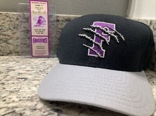 Vintage Fresno Grizzlies Minor League Hat & Ticket from Inaugural Season 1998