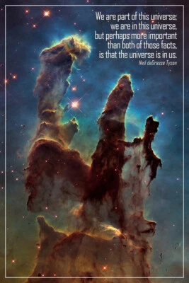 We Are Part of This Universe NDT Quote Poster 12x18 - Image 1 of 3