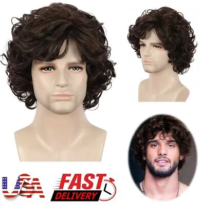 Peluca rizada corta marrón para hombre Pelucas de anime Juegos con disfraces Fiesta Disfraz Peluca para el cabello EE. UU. Foto 1 de 4