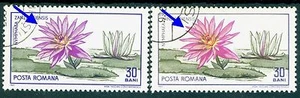 1965 Blue LOTUS,Flowers,CLUJ Botanic garden,Romania,30 B.,VFU variety error - Picture 1 of 1