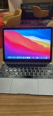 Apple MacBook (Retina, 12 pulgadas, principios de 2015) - 8 GB RAM, 512 GB SSD, macOS Catalina Foto 1 de 4