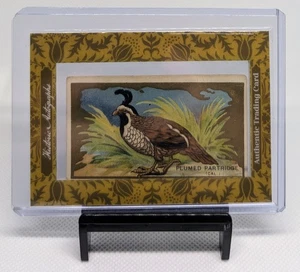 2022 Historic Autograph * PLUMED PARTRIDGE - 1910 Piedmont Cigarette Card Relic - Bild 1 von 2