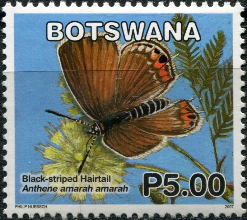 Botswana 2007. Butterflies - Black-striped Hairtail (MNH OG **) Stamp - Image 1 of 1