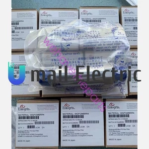 Entegris WGFGMBRR4 filter WGFGMBRR4 1PCS NEW Expedited Shipping#L - Picture 1 of 1