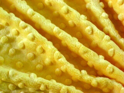 CANARIO AMARILLO MINKY ABRAZO HOYUELO PUNTO FELPA COSER EDREDÓN TELA ARTESANAL POR Y PRECORTADOS Foto 1 de 4