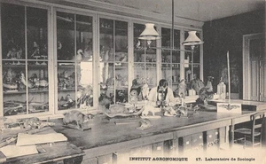 CPA AUTOMOBILE / SALON DE L'AUTOMOBILE 1905 / STAND RICHARD BRASIER / AVEC LA CO - Imagen 1 de 1