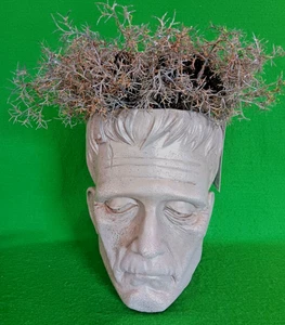 Martha Stewart 14"h Resin Concrete Look Frankenstein Head Planter, New with Tag! - Picture 1 of 5