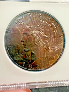 Dólar de la Paz 1923 - Brillante lote sin circular #1197 - Imagen 1 de 5