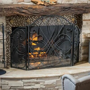 Rosalinda Black Silver Finish Floral Iron Fireplace Screen - Picture 1 of 11