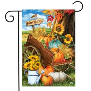 Briarwood Lane Pumpkin Cart Autumn Garden Flag - Picture 1 of 4