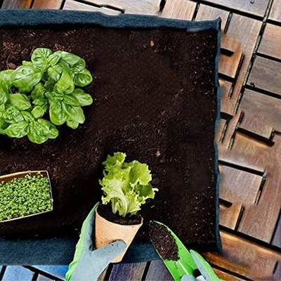 Diverse Applications of Rectangular NonWoven Grow Bags in Home Gardens - Image 1 of 4