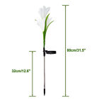 Solar Lily Flower Stake Lights Garden Pathway Outdoor Yard Patio Lawn Decor Lamp