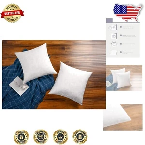 Firm 22x22 Goose Down Feather Cushion Inserts - Set of 2 for Cozy Living - Picture 1 of 8
