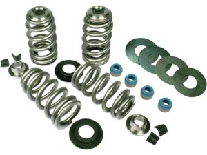 Feuling Motorcycle Motorbike Endurance Beehive Valve Spring Kit 04-20 Sportster - Picture 1 of 1