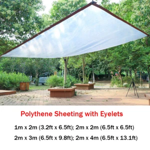 Polythene Sheeting Curtain Screen Tent Rain Plastic Cover Eyelet Every 1m - Picture 1 of 10