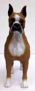 BOXER, BRONCEADO/BLANCO, OREJAS RECORTADAS, DE PIE, CONCEPTOS DE CONVERSACIÓN, ARTÍCULO DF33A - Imagen 1 de 5