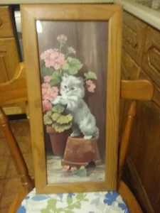 Estampado de gato, foto de Corby - Imagen 1 de 2