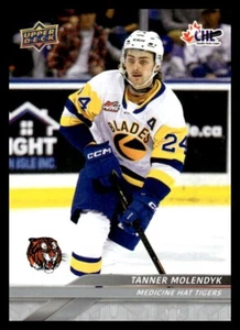 2024-25 UD CHL Team Set Medizin Mütze Tiger - Bild 1 von 7
