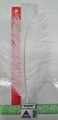 #1 Pluma de avestruz "blanco" moscas atar salmón, serpentinas Foto 1 de 2