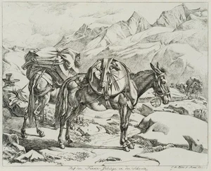 J. KLEIN (1792-1875), Auf dem Furca-Gebirge in der Schweiz,  1820, Rad. - Picture 1 of 4
