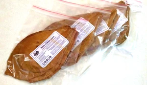 12 Indian Almond Leaves, Catappa, Dried (14cm -18cm} for Fish, Shrimp, Aquarium - Picture 1 of 7