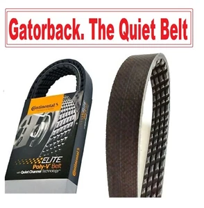 Serpentine Poly-V Belt The Quiet Belt Gatorback CONTINENTAL ELITE 4040325 - Foto 1 di 4