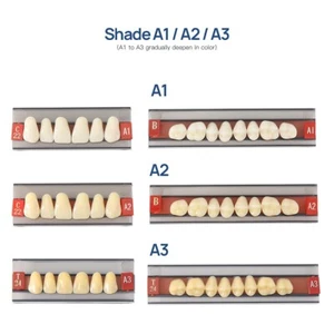 28pcs/kit Dental Full Mouth 2-Layer A1 A2 A3 Shade Synthetic Resin Teeth Denture - Picture 1 of 179