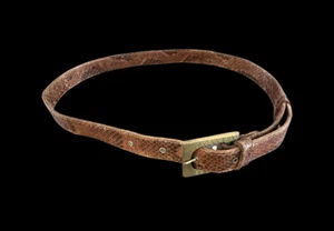 Vintage Snakeskin Belt Copperhead /Python? Read Description For Size. - Picture 1 of 10