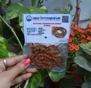Rosario Rudraksha Japa Mala 108 Cuentas Panchmukhi para Meditación y Canto de Mantras - Imagen 1 de 2