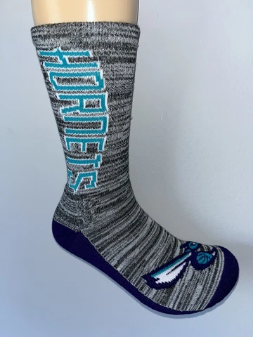 CHARLOTTE HORNETS NBA BASKETBALL LOGO VERTICAL CREW LENGTH SOCKS LARGE Q Cover
