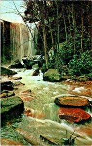 Cucumber Falls Ohiopyle Pennsylvania postcard a74 - Picture 1 of 2