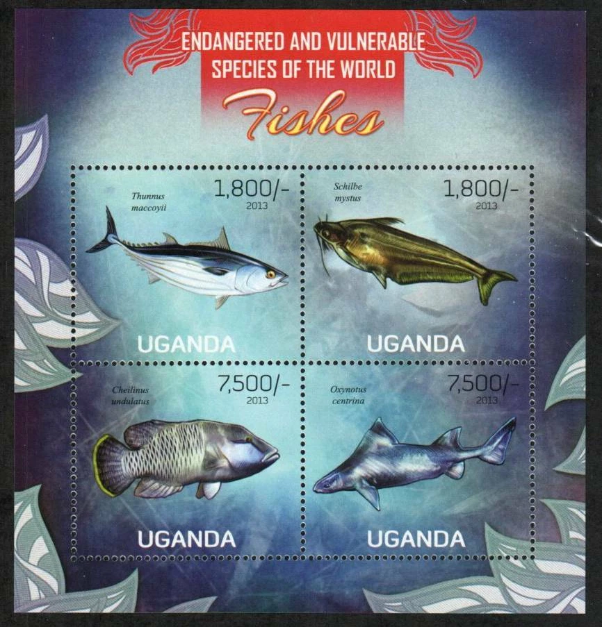 Uganda Stamp 2026  - Fish - Image 1 of 1
