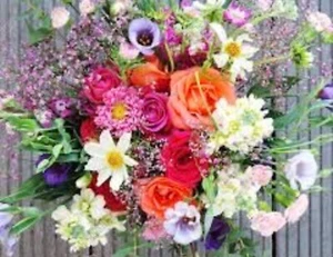 Susies 💜 Beautiful Flower 🌸 Mix 2200+ Seeds (Alyssum) Instructions Included x - Bild 1 von 10