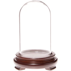 Plymor 2.5" x 4.5" Glass Display Dome Cloche (Walnut Wood Veneer Footed Base) - Picture 1 of 1