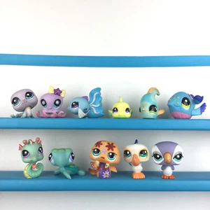 Lot 11 Littlest Pet Shop Meerwasser Ozean Set LPS / Fisch Seelion Seepferdchen... - Bild 1 von 6
