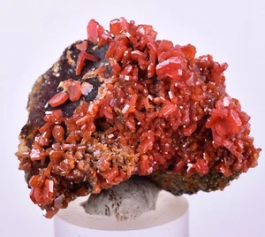4,2 cm VANADINITA HOLANDA CRISTAL MIBLADEN MARRUECOS MINERAL ESPÉCIMEN WB32 - Imagen 1 de 9
