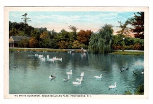 White Squadron Roger Williams Park Providence Rhode Island Vintage Postcard RI - Picture 1 of 2