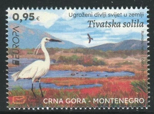 318 - MONTENEGRO 2021 - EUROPA - Birds - Tivatska solila - MNH  - Picture 1 of 2