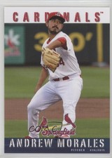 2015 Grandstand Springfield Cardinals Stadium Giveaway Andrew Morales #40.1