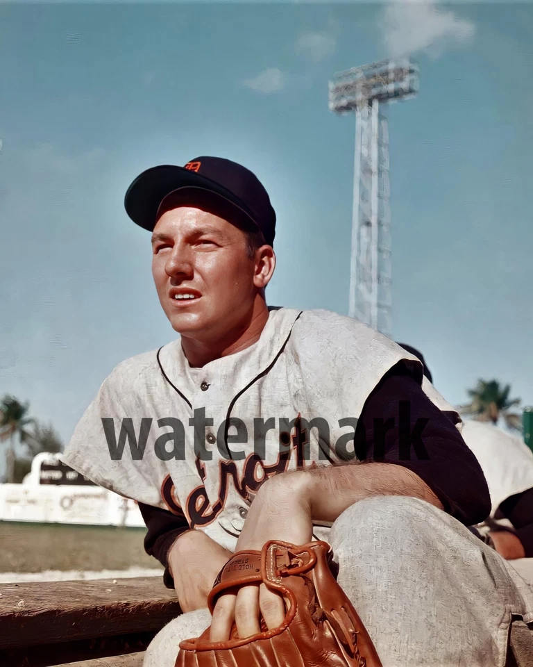 Al Kaline - Tigres, foto a color 8x10 Foto 1 de 1