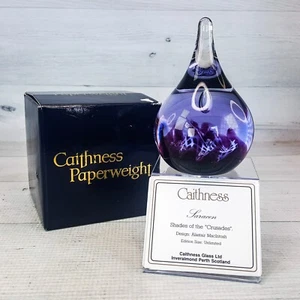 Vintage Caithness Scotland Saracen Teardrop Purple Art Glass Paperweight w Stand - Picture 1 of 11