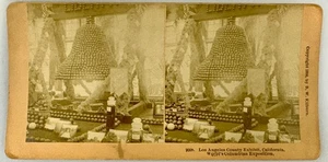 SV027_029 Stereoview Chicago's World's Fair Los Angeles County Exhibit - Picture 1 of 1