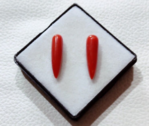 Red Coral Cabochon Italy Red Coral Cabochon Edelstein 100 % Natur Coral Cabochon