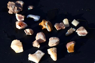 Nice Coober Pedy Opal Fossil Shells Skin/Pieces 75+ carats Some Bright Colours - Image 1 of 4