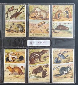 6 ITALIAN CHROMOS NUMBER S1600 EXOTIC RODENTS 1954