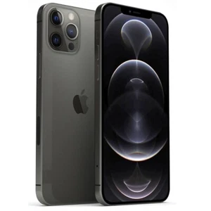 iPhone 12 Pro Max 256GB (Unlocked) - Graphite - MGCK3LL/A - 2020 Auction-DM-1 - Picture 1 of 10