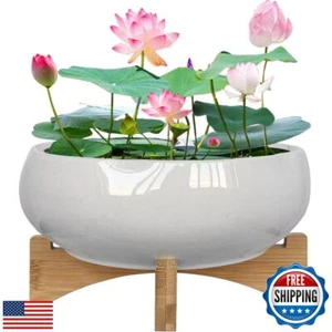 MUZHI White Ceramic Water Lotus Bowl Planter Pot with Bamboo Stand 7.8”, Lotu - Picture 1 of 5