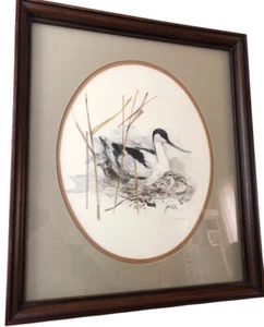 Mads Stage Lithograph Print Family Duck Bird Aviary Art Signed - Picture 1 of 5