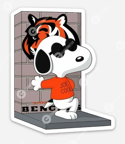 Joe Burrow Cincinnati Bengals MAGNET - Joe Cool NFL Joey B Cincy AFC Cover