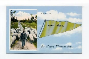 Ayer MA Wimpel Postkarte, Junge führt Schafe, Komm nach Ayer, angenehmer Tag - Bild 1 von 2
